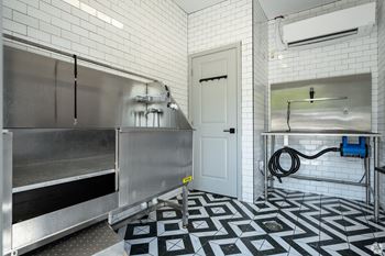 Pet washing station